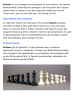 Schach - das königliche Spiel